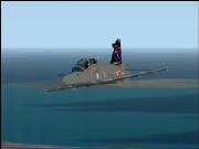 hawk.jpg